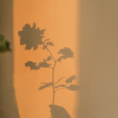 半岛综合娱乐app下载手机版