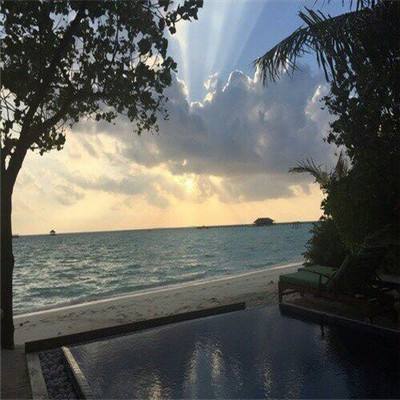 新乐动体育app下载官网截图